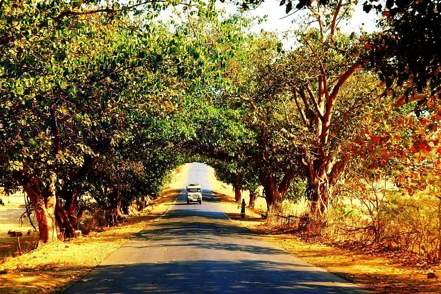 The road to Jawhar. PHOTOS BY AUTHOR