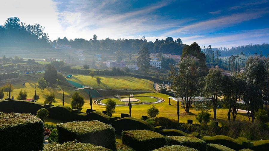 Ooty