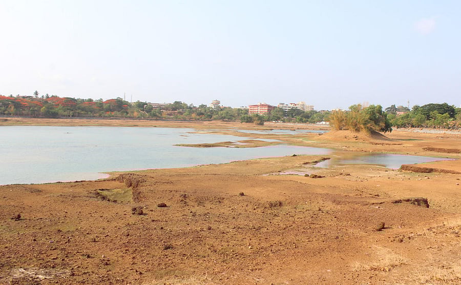 Mannapalla Kere in Manipal.