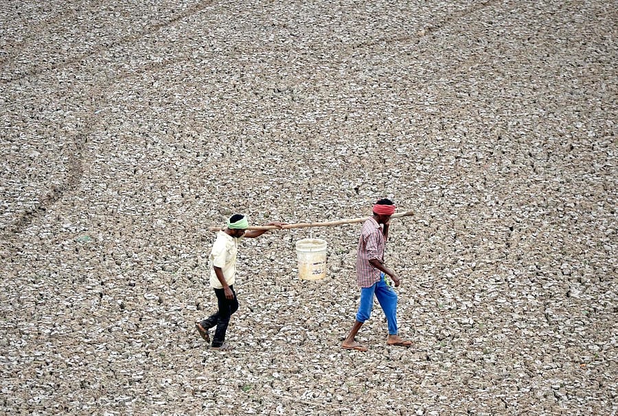 TOPSHOT - In this photo taken on June 20, 2019, Indian worker carry the last bit of water from a small pond in the dried-out Puzhal reservoir on the outskirts of Chennai. - The drought is the worst in living memory for the bustling capital of Tamil Nadu s