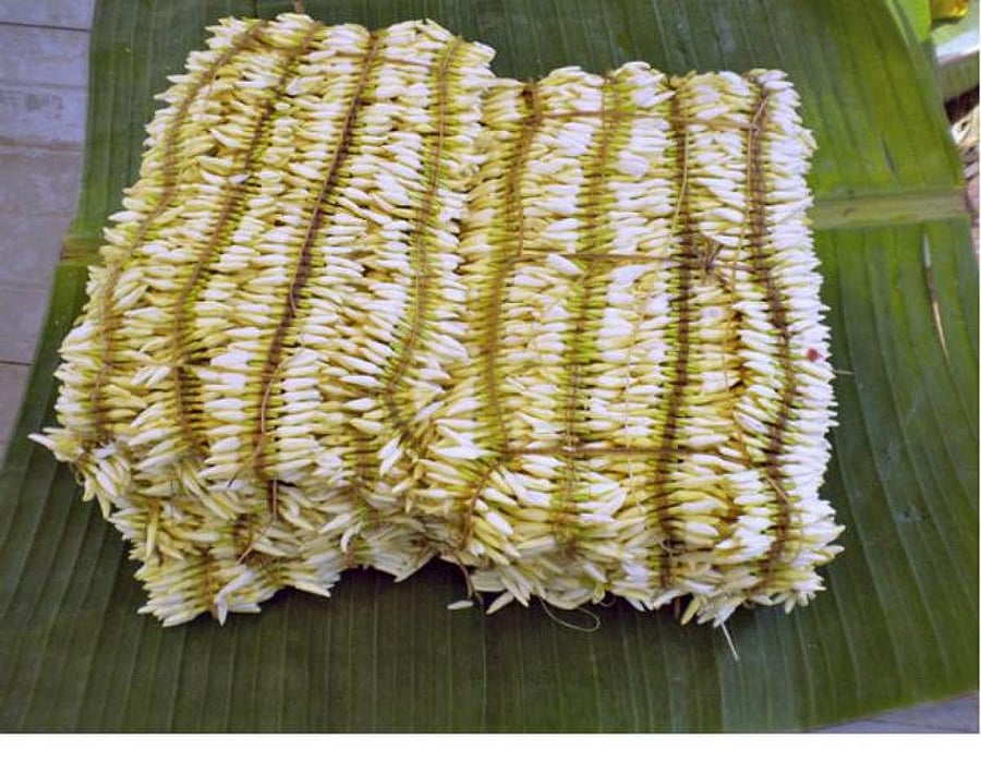 An Atti of Udupi Mallige.