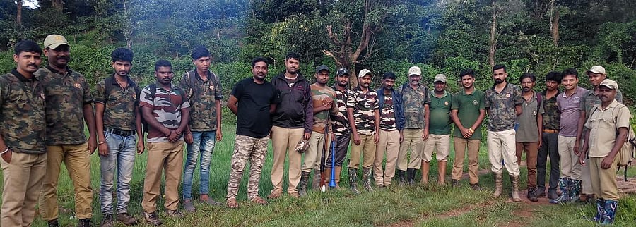 A team of Forest Department officials engaged in chasing wild elephants in South Kodagu.