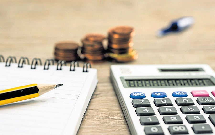 Unlike their cousins, the Southeast Greenland polar bears were found to be homebodies, seldom straying far to hunt.