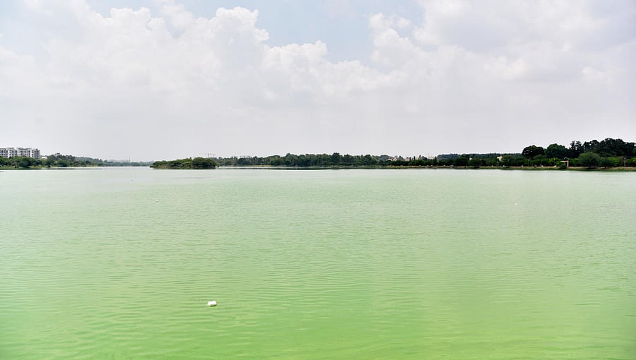 The government decided to divert Rs 37 crore meant for KR Puram lakes to road works.