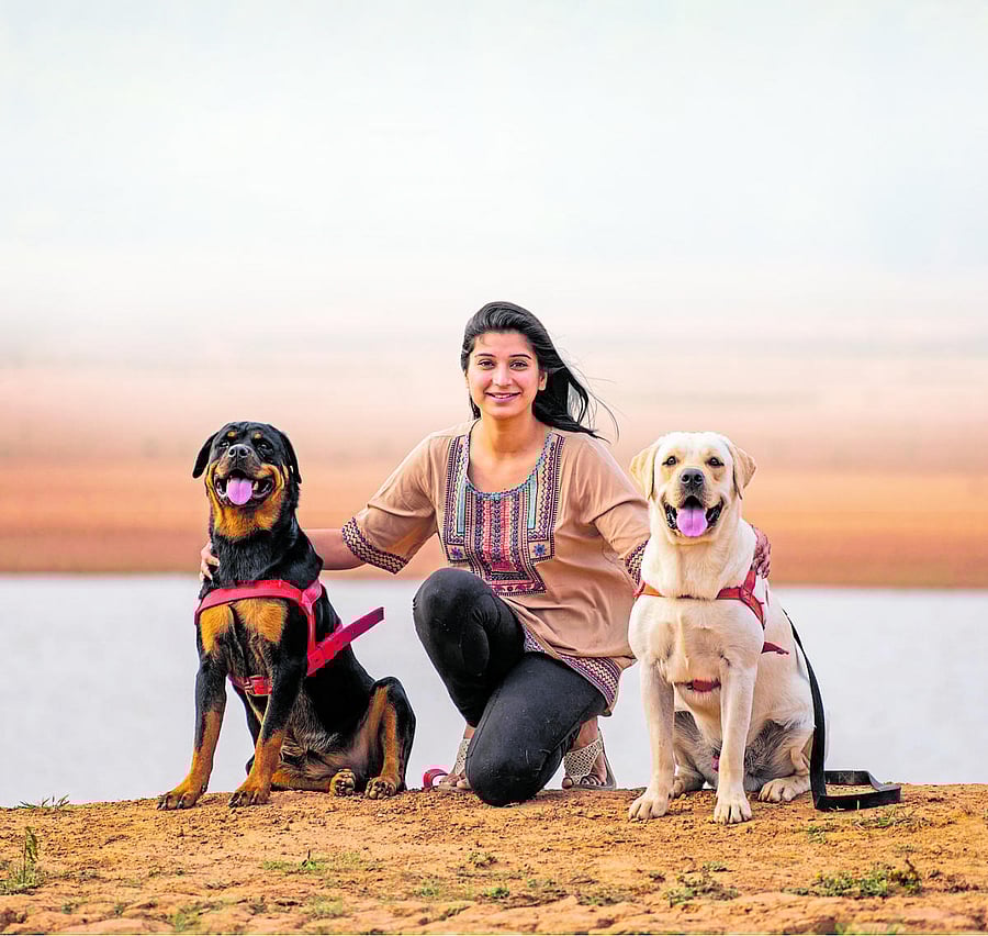 Harleen says the diets of her Rottweiler Whiskey and Labrador Glen are monitored individually.