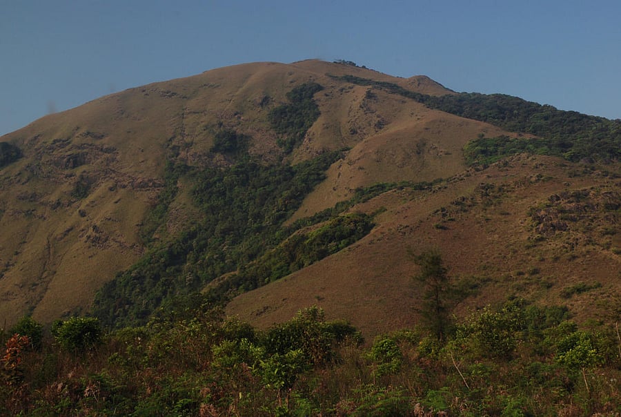 Tadiandamol peak