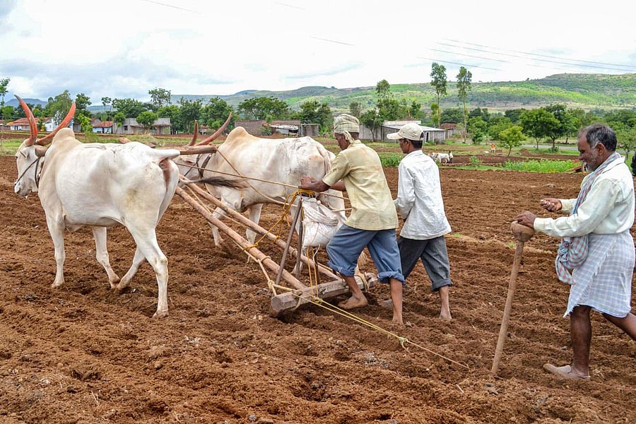 Finance Minister Nirmala Sitharaman said the government will invest widely in agriculture infrastructure and support private entrepreneurship for value addition in farm sector. PTI