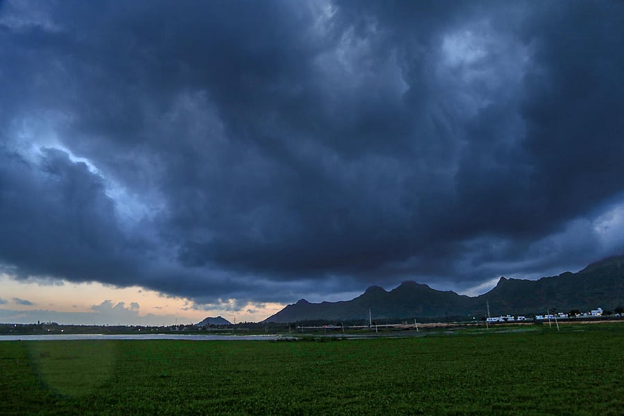 The overall monsoon deficiency, which was 33 per cent at the start of the month, has dipped to 21 per cent. (PTI Photo)