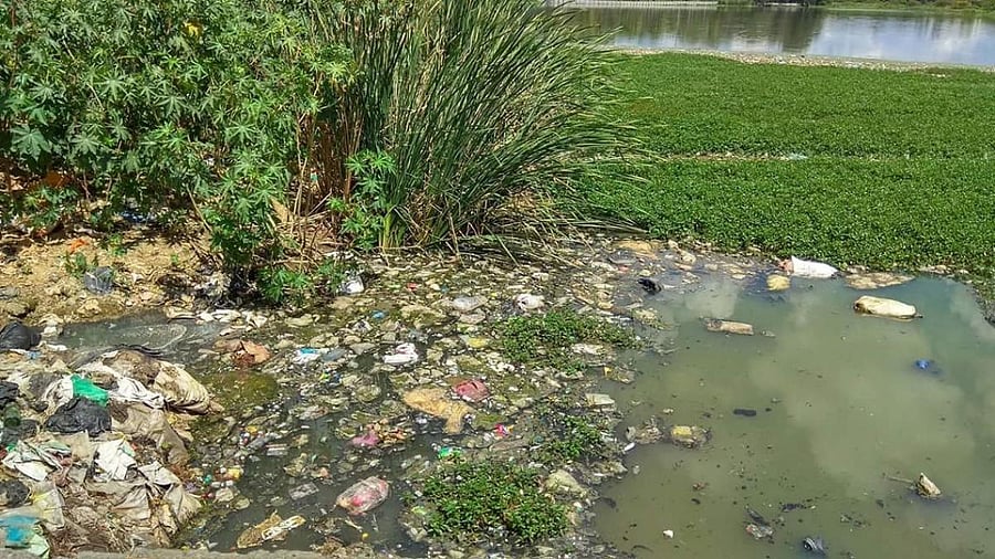 Garbage dumped in Nallurahalli Lake. FILE PHOTO