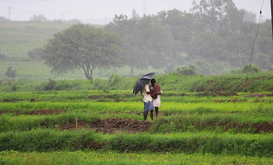 The Budget would also help in doubling the income of farmers. (File Photo)