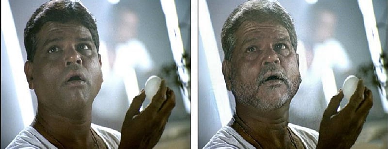 Image Credit: Fevicol's official Twitter handle