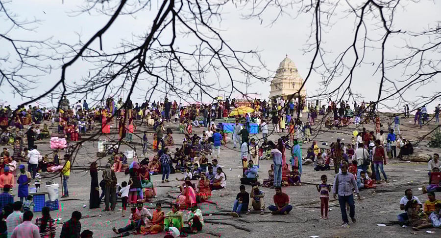 The botanical garden will be hosting this year's flower show for the Republic Day, as it has for many years.
