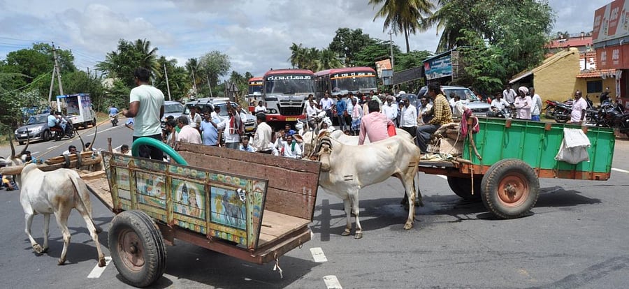 Farmers block the Mysuru-Bengaluru National Highway as a mark of protest against the release of water to Tamil Nadu from the Krishnaraja Sagar Dam, at Indavalu, near Mandya, on Saturday. DH Photo