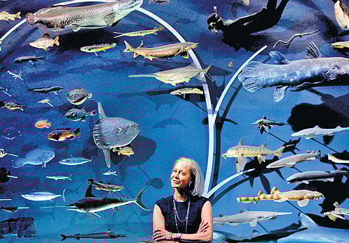 Wendy Schmidt and her husband are advancing ocean studies. As government financing of basic science research has plunged, private donors have filled the void, raising questions about the future of research for the public good. NYT