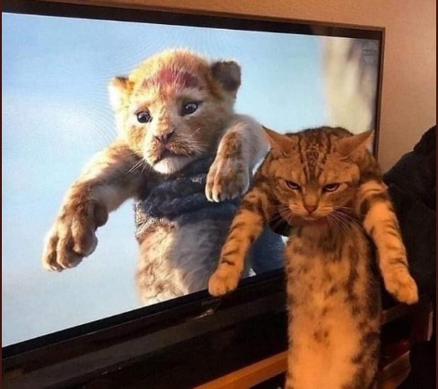 The responses to Lion King has been wige-ranging, from anger to laughter to nostalgia to self-deprecation. And social media is lapping it all up.