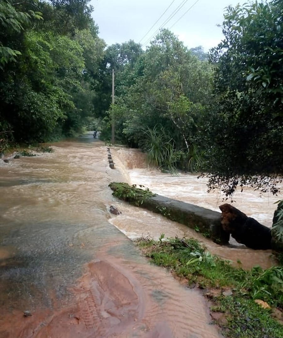 A view of the stream overflowing on to Kikre bridge in Sringeri.