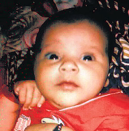In a bizarre incident, a two-month-old baby was mauled to death by a stray dog in Central Delhi after the canine entered the house and bit her all over the body. DH file photo