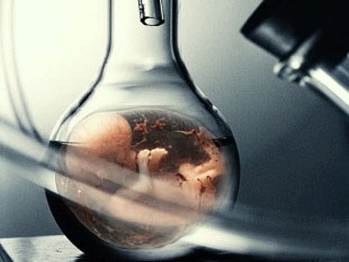 A new documentary on Dr Subhash Mukherjee, who had created the world's second and India's first test-tube baby, premiered at the ongoing Kolkata International Film Festival today. DH File Photo
