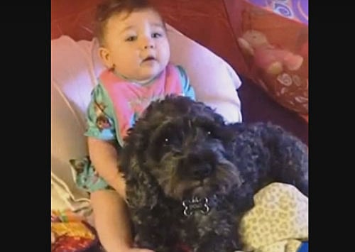 Eight-month-old Viviana Claire was inside a house in Baltimore when her mother Erika Poremski, stepped outside to her car for a minute and when she looked back, the house was engulfed in flames. Screen grab