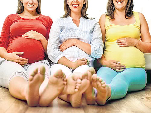 The possibility of predicting the sex of the baby in early pregnancy has long been a topic of public fascination, spawning numerous theories of maternal characteristics associated with the presence of a male or female foetus.