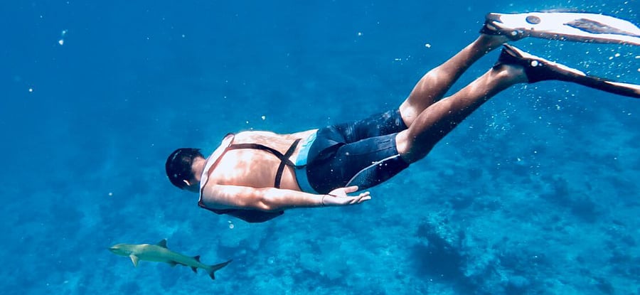 Rehan swims with reef shark