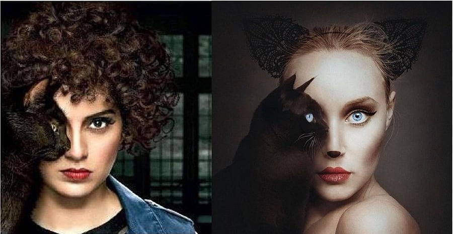 ‘Judgementall Hai Kya’ is accused of using Flora Borsi’s creative.