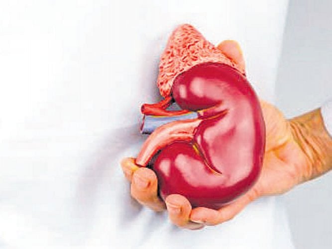 (Representative Image) (File Image)