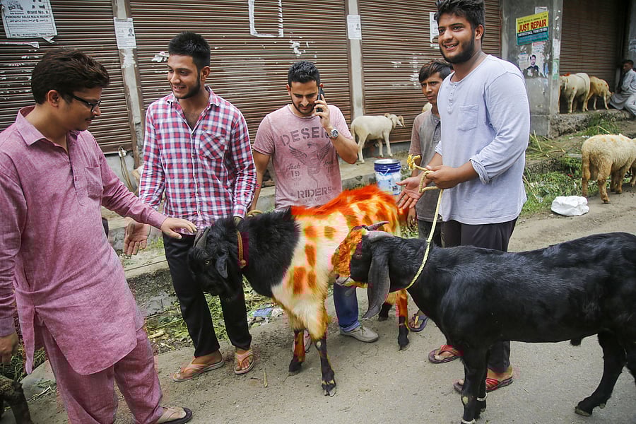 Big queues formed in Kashmir's main city on Saturday outside cash machines and food stores. (PTI Photo)