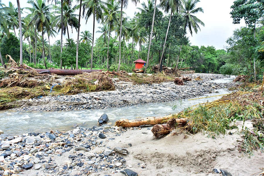Driftwood brought by the flash flood at Didupe. DH Photos / Govindraj Javali