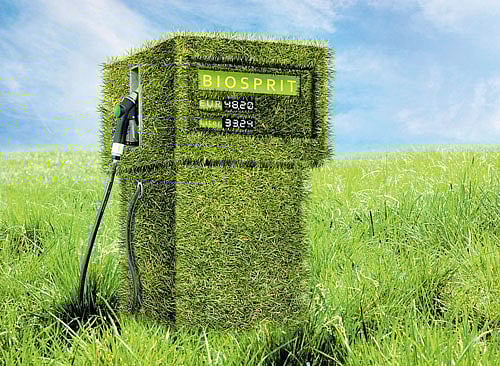 Fuel woes: The International Energy Agency estimates that the share of biofuels in the total energy market will be 4% in 2030. REPRESENTATIVE IMAGE