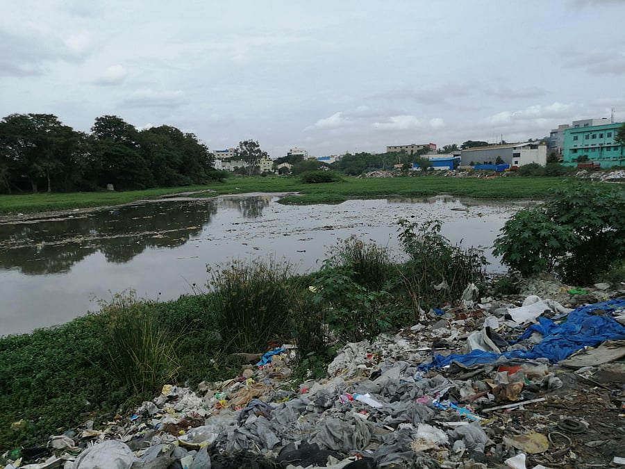 Karihobanahalli Lake has become a dumping yard for garbage and a storage tank for effluents. 