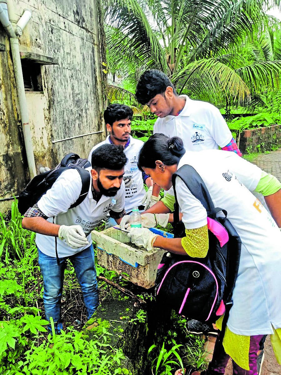 A team checks for mosquito larvae at a breeding site in Kadri and collects the sample as a part of ‘Drive Larva Day competition’.