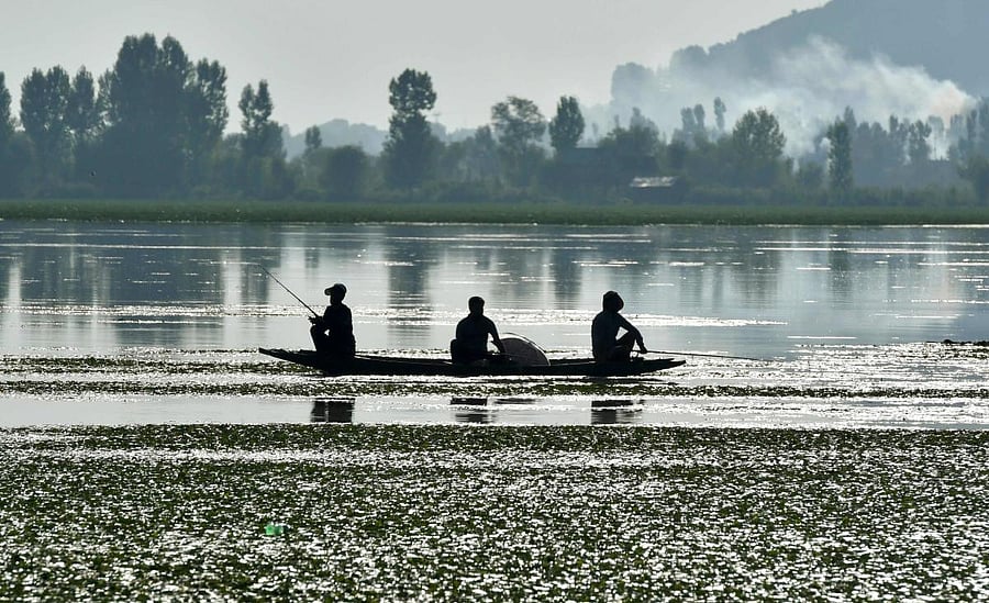 Men fish in the Dal Lake in Srinagar. (AFP Photo)