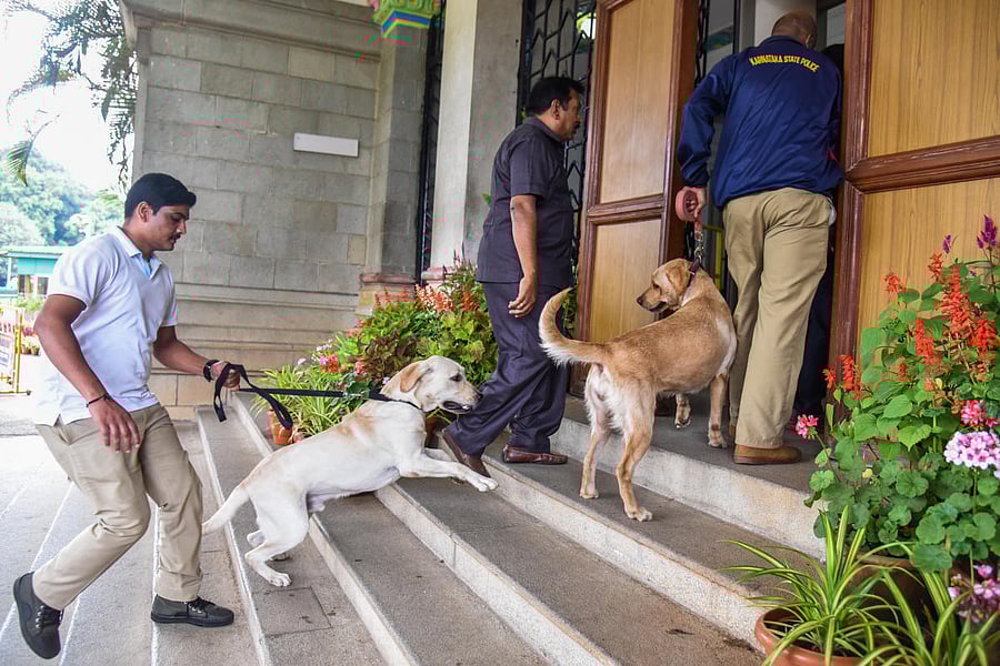NIA searches were conducted at the residences of five people in the city to ascertain if they had any links with Lashkar-e-Taiba terrorists. (Image for Representation)