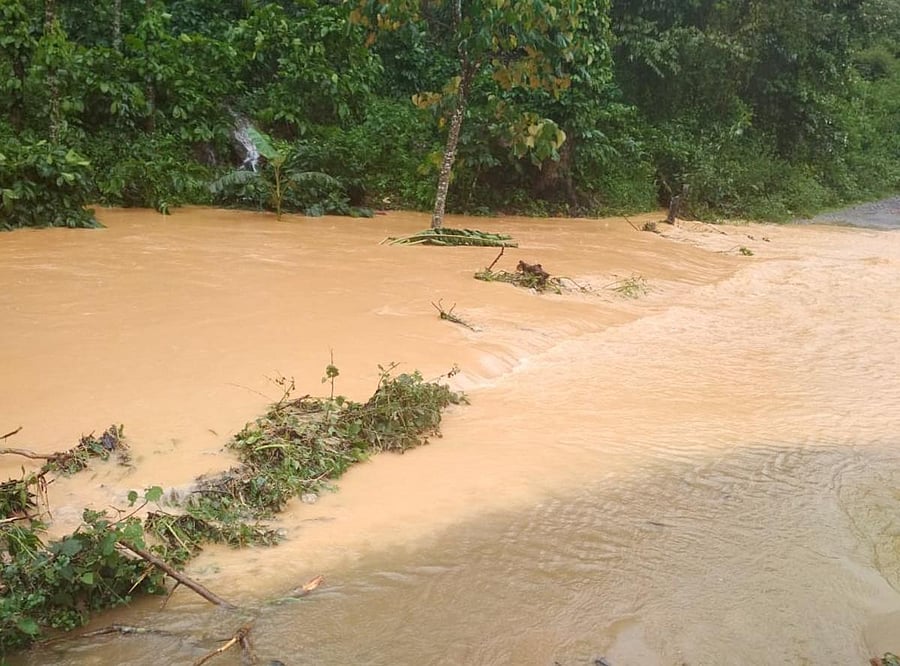 Rainwater overflowing from a coffee estate in Nadipura village in Mudigere taluk on Saturday.