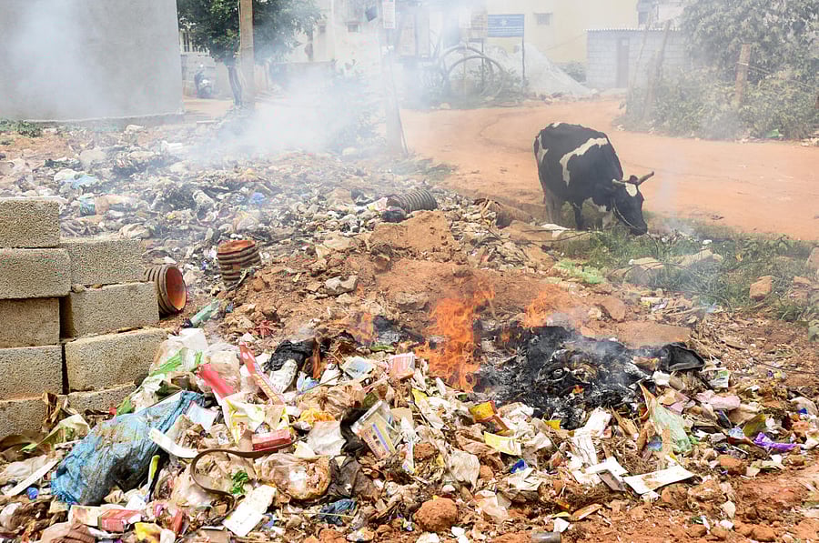 Garbage heaped up in Naganathapura. DH photo