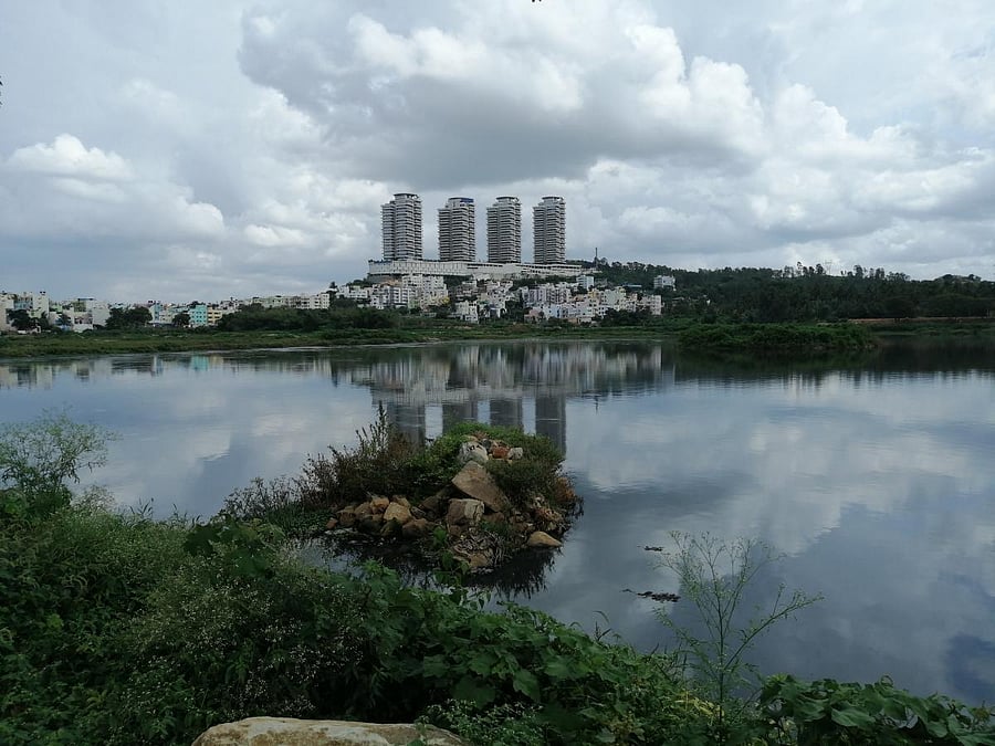 Though BDA officials said they stopped the entry of sewage into the lake, local residents still complain about the nasty odour emanating from the waterbody. DH PHOTO/SANDESH MS