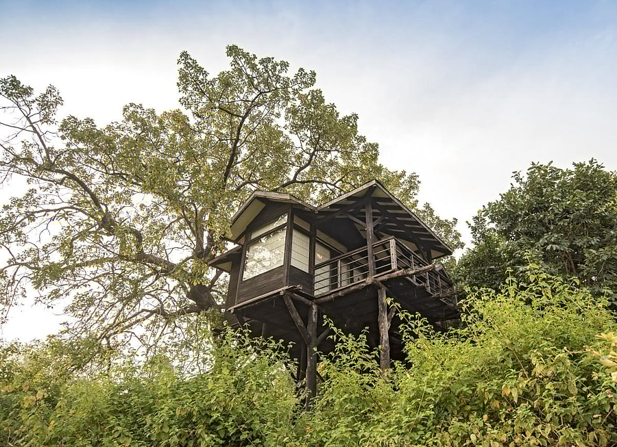A tree house in Pench Tree Lodge, Madhya Pradesh