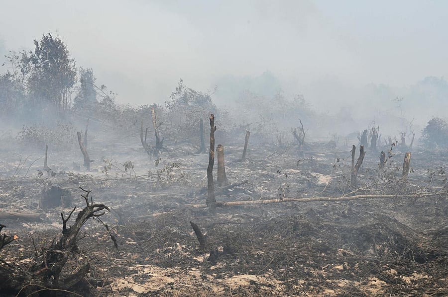 Smouldering peatland is pictured in Kampar, Riau province (AFP Photo)