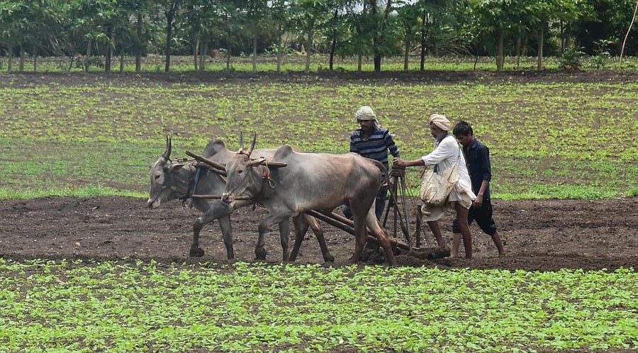 Representational image