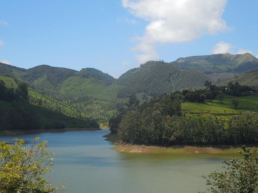 Tea county of Munnar. PHOTOS BY AUTHOR