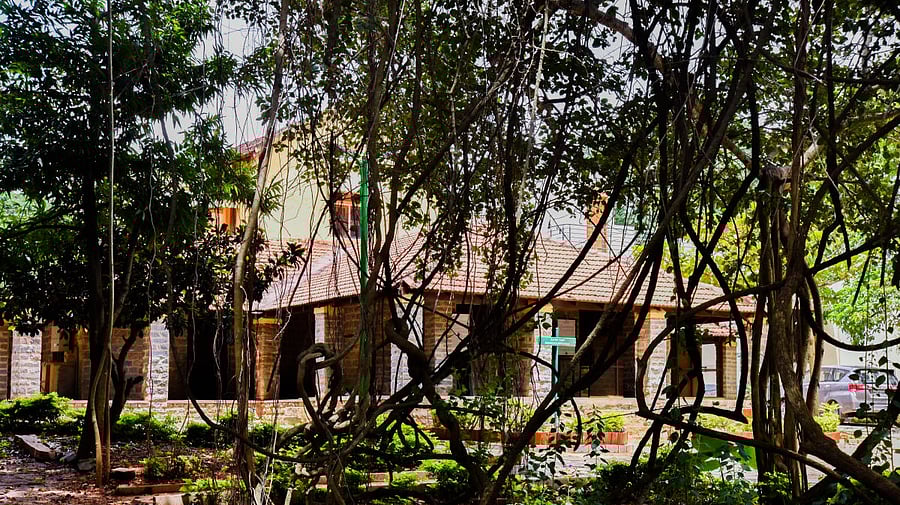 The Roerich and Devika Rani Estate on Kanakapura Road near Bengaluru. DH file photo