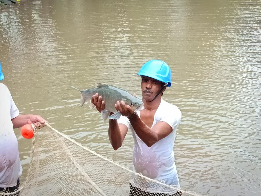 Deccan Mahseer was recently declared state fish.