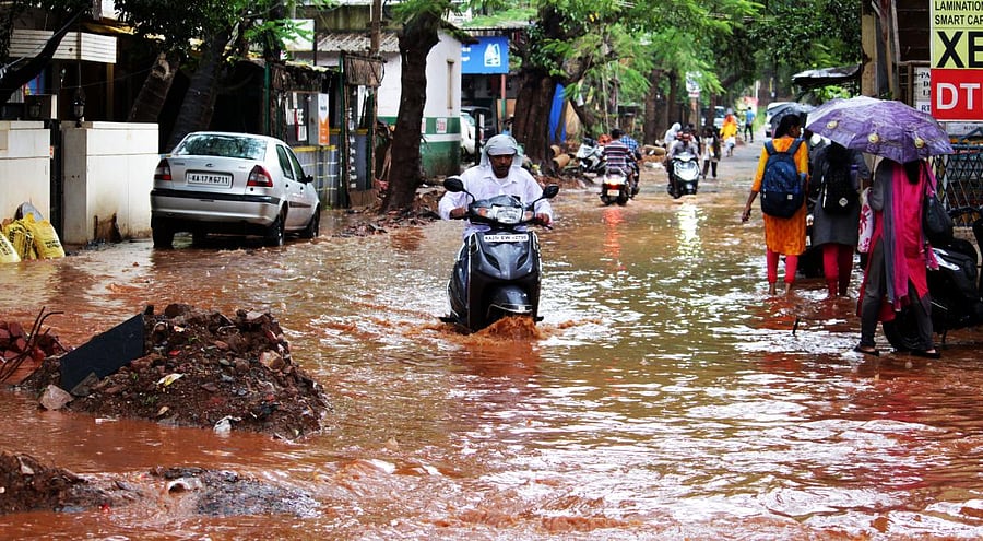 It will go back in the lake to await another cycle in two years. Swipe up to read more!