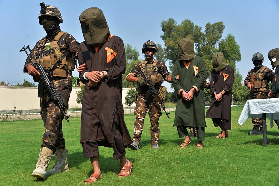 al-Qaeda
