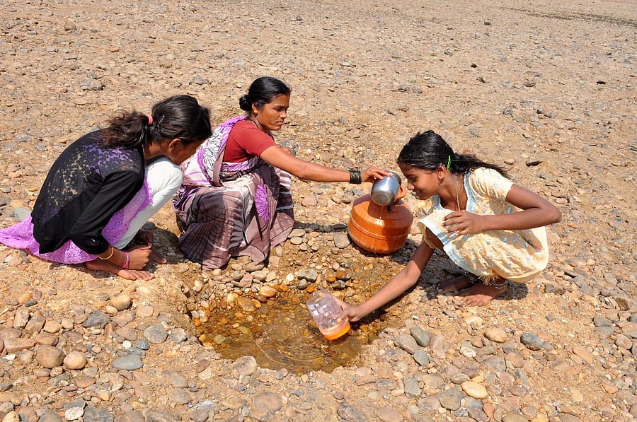 Representative image. DH Photo