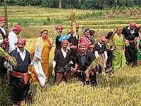 Kodagu celebrates Hutthari