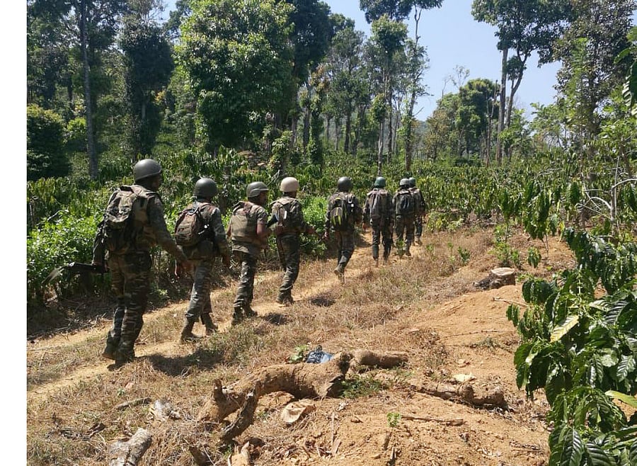 Combing operations were conducted in Brahmagiri in Kodagu last week.