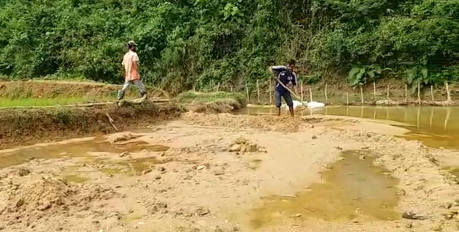 Workers clear the mud accumulated in a paddy field in Kodagu.