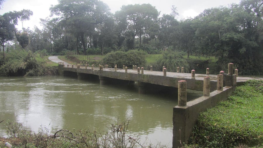 The water level in a stream receded at Ethukadu in Napoklu.